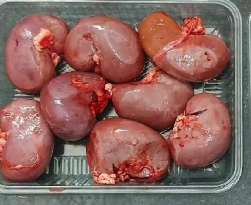 جگرگوسفندی|خوردنی و آشامیدنی|تهران, بهداشت|دیوار