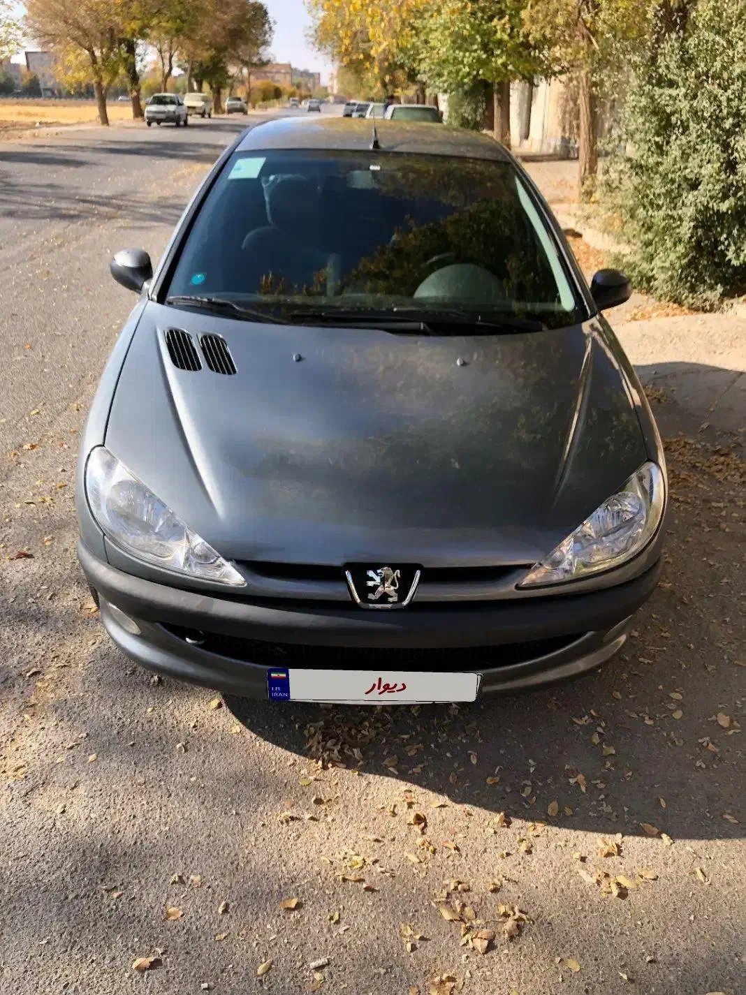 ۲۰۶ تیپ ۲|خودرو سواری و وانت|شهرکرد, |دیوار