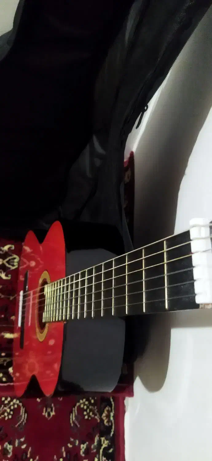 گیتار نو رنگ گیلاسی|گیتار، بیس، امپلیفایر|مراغه, |دیوار