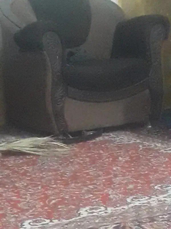 اسباب منزل ازیزدبه کازرون|خدمات حمل و نقل|زارچ, |دیوار