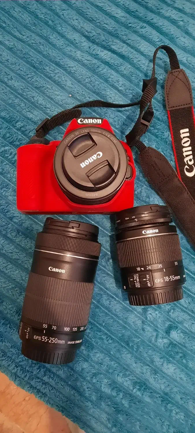 Canon 250D در حد نو|دوربین عکاسی و فیلم‌برداری|تهران, طرشت|دیوار