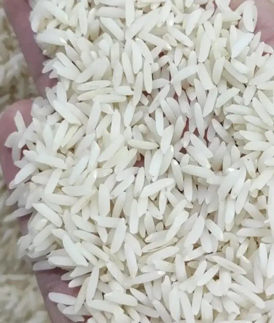 برنج|خوردنی و آشامیدنی|مشهد, بهارستان|دیوار