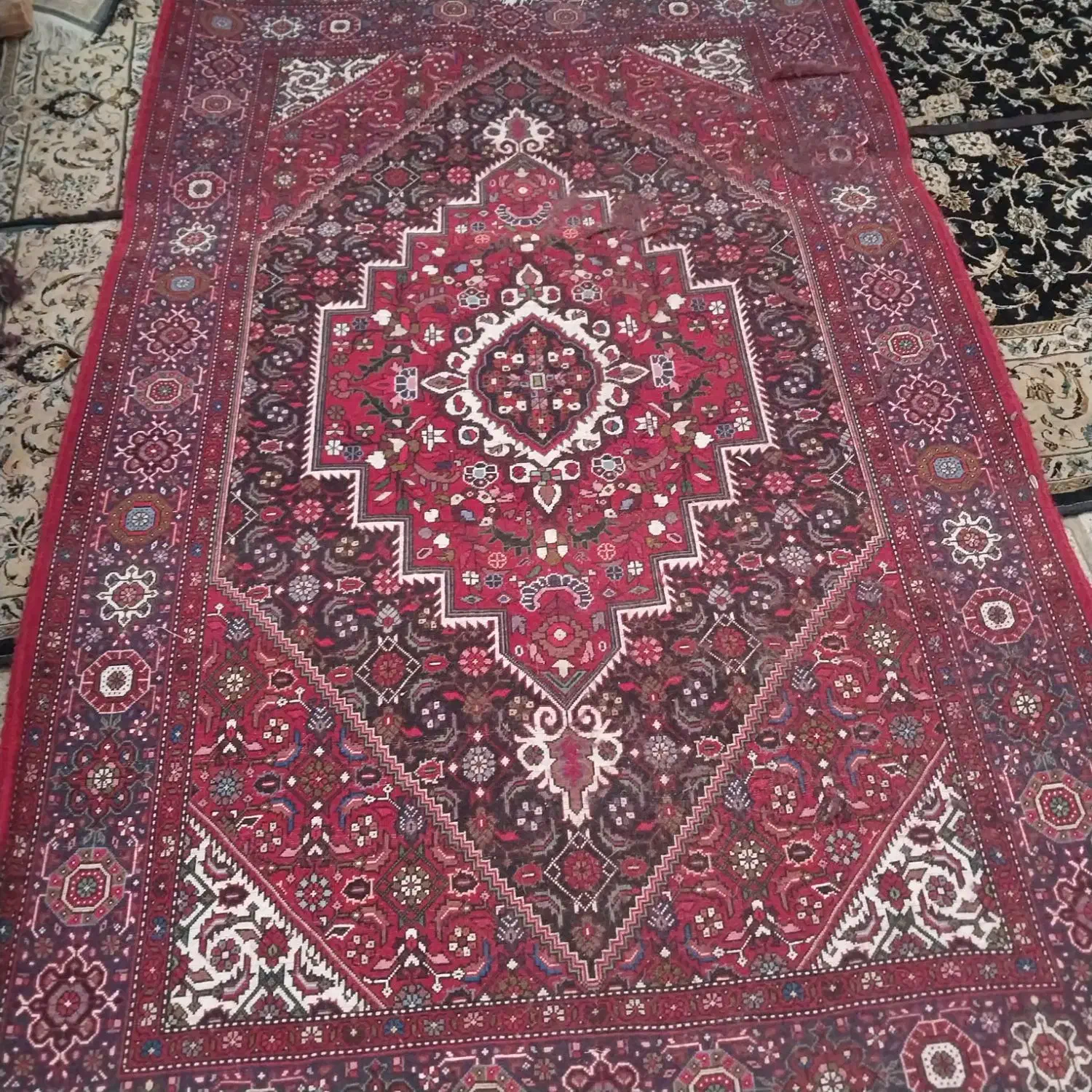 فرش دست بافت|فرش|زنجان, |دیوار