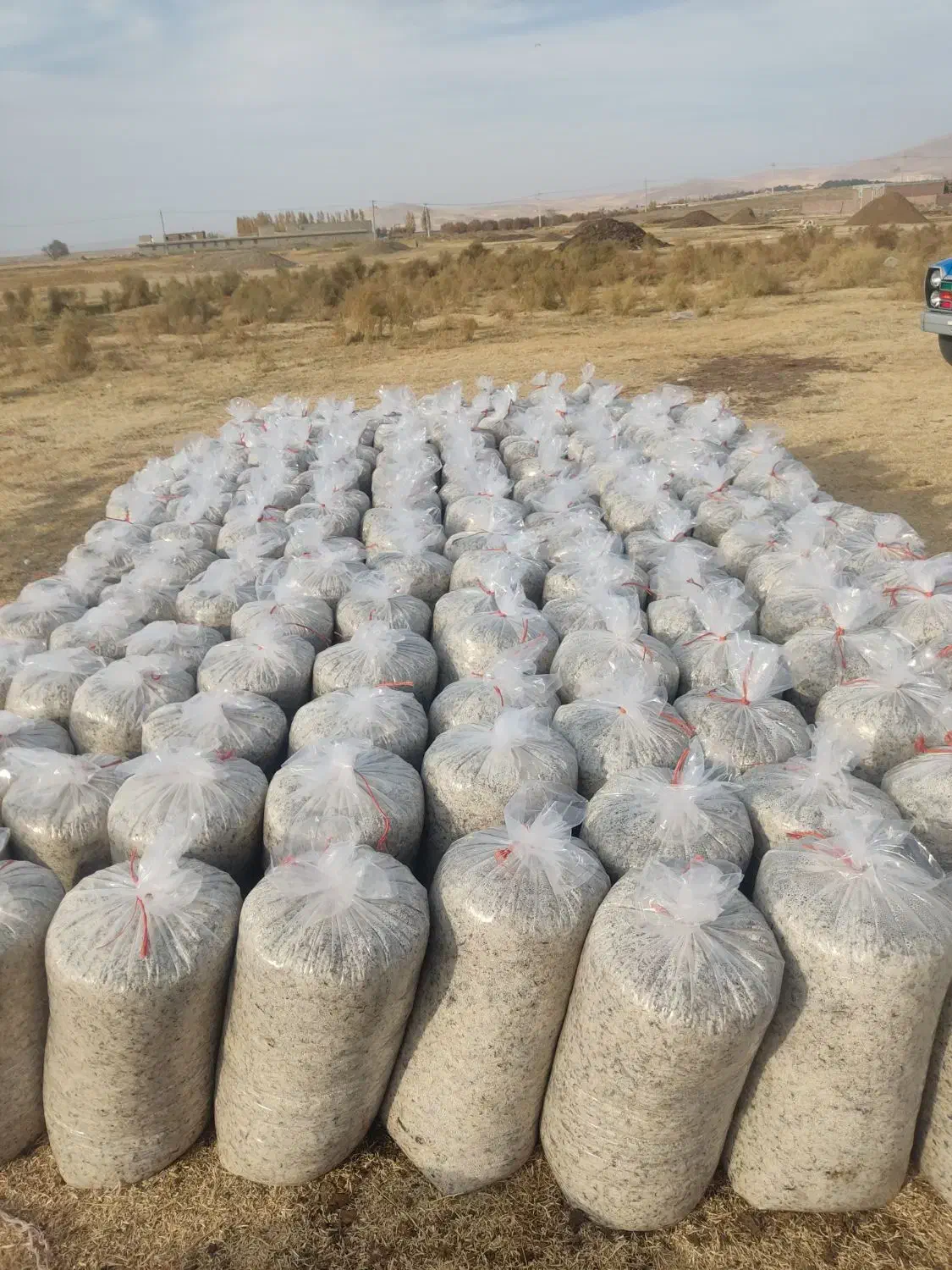 تفاله چغندر|لوازم جانبی حیوانات|محمدبار, |دیوار