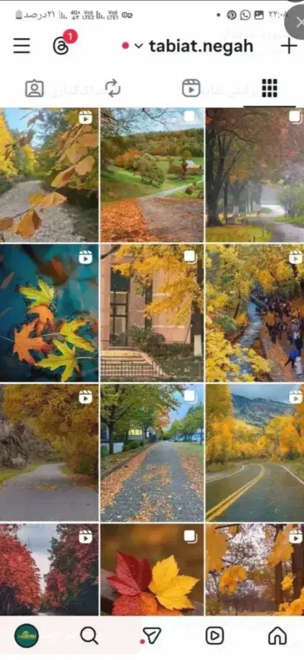 پیج 276|لوازم جانبی موبایل و تبلت|کرج, دولت‌آباد|دیوار