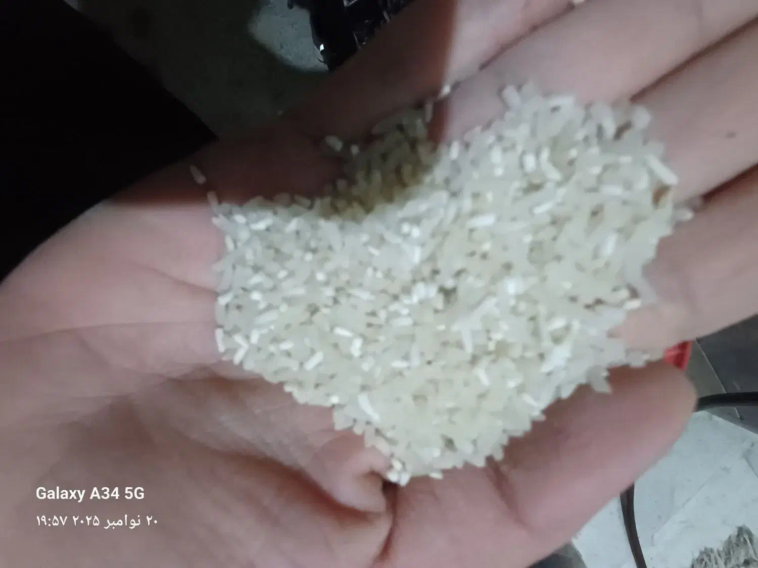 فروش برنج پارسال|خوردنی و آشامیدنی|خان ببین, |دیوار