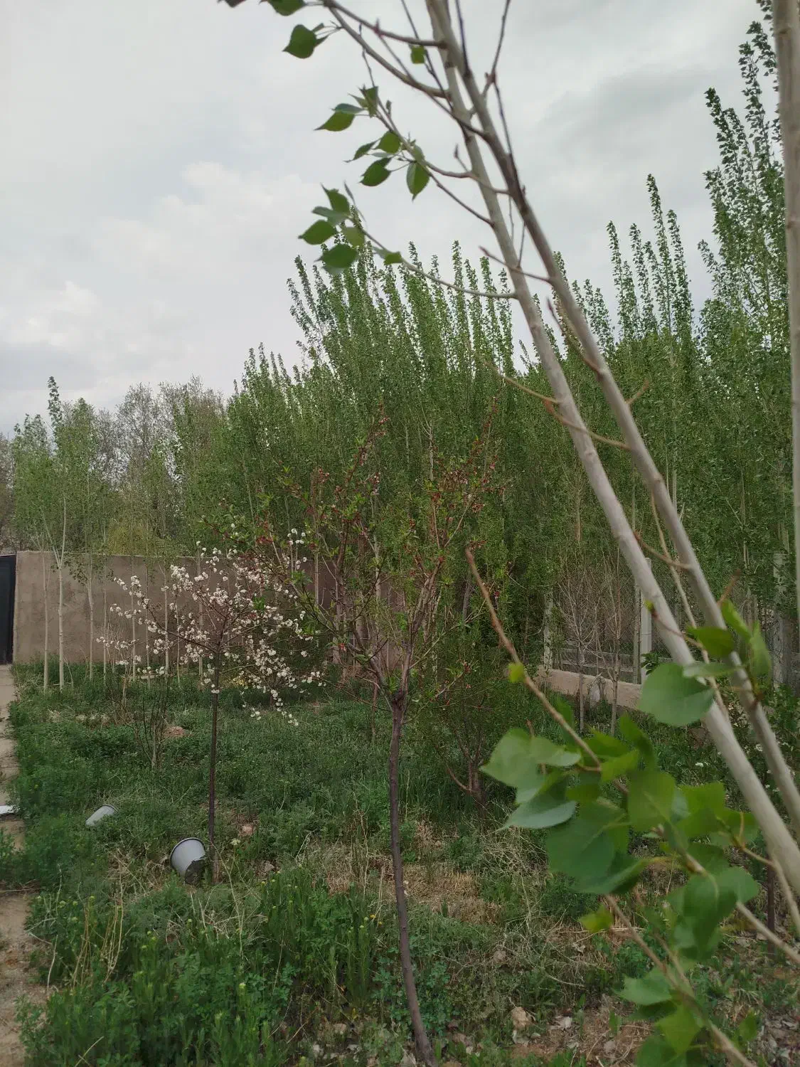 مشارکت در ساخت ویلا|مشارکت در ساخت املاک|بستان آباد, |دیوار