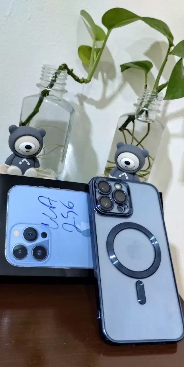 iPhone 13 Pro Max 256g|موبایل|قشم, |دیوار