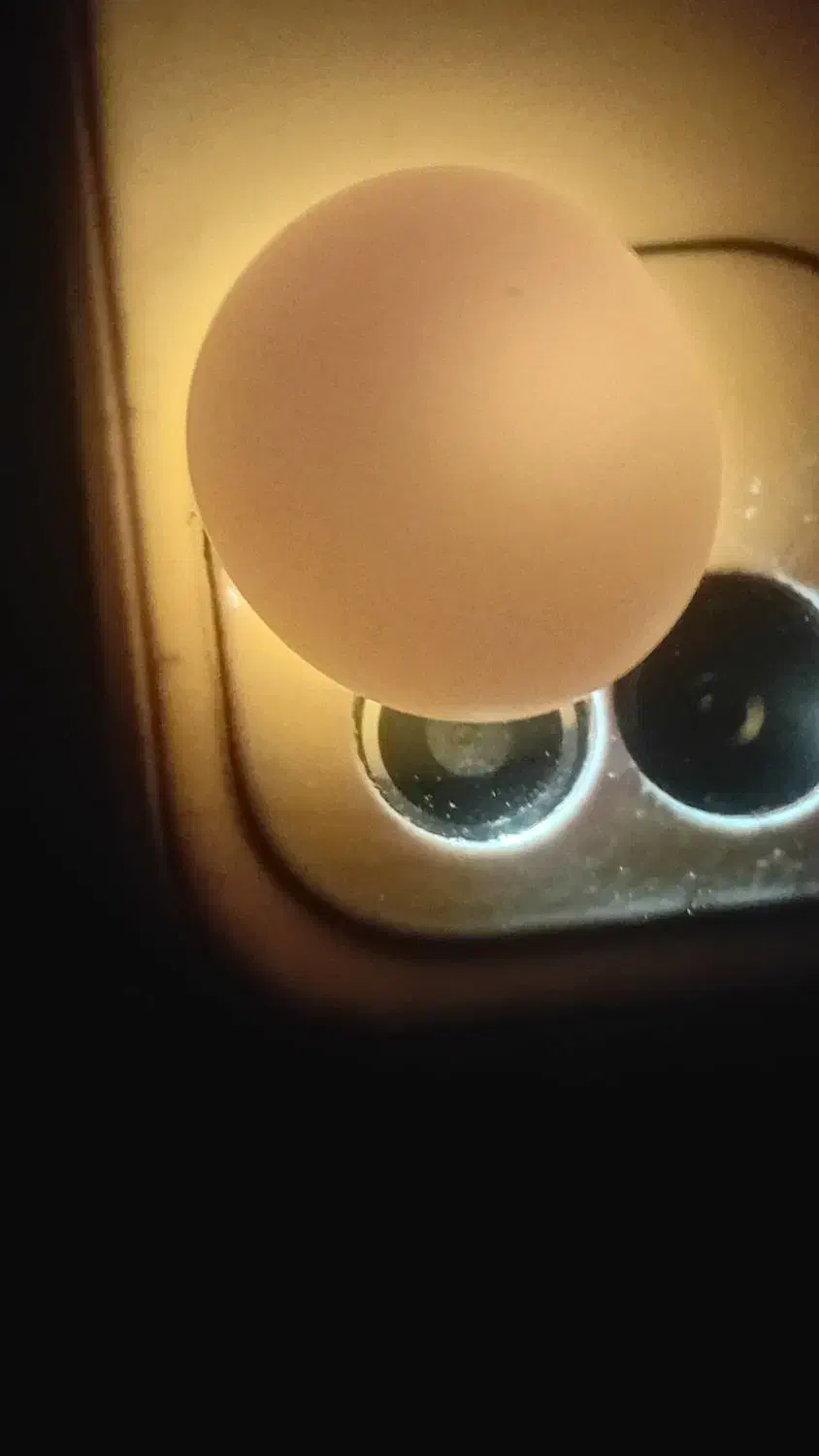 شهاب سنگ|بدلیجات|کلاچای, |دیوار