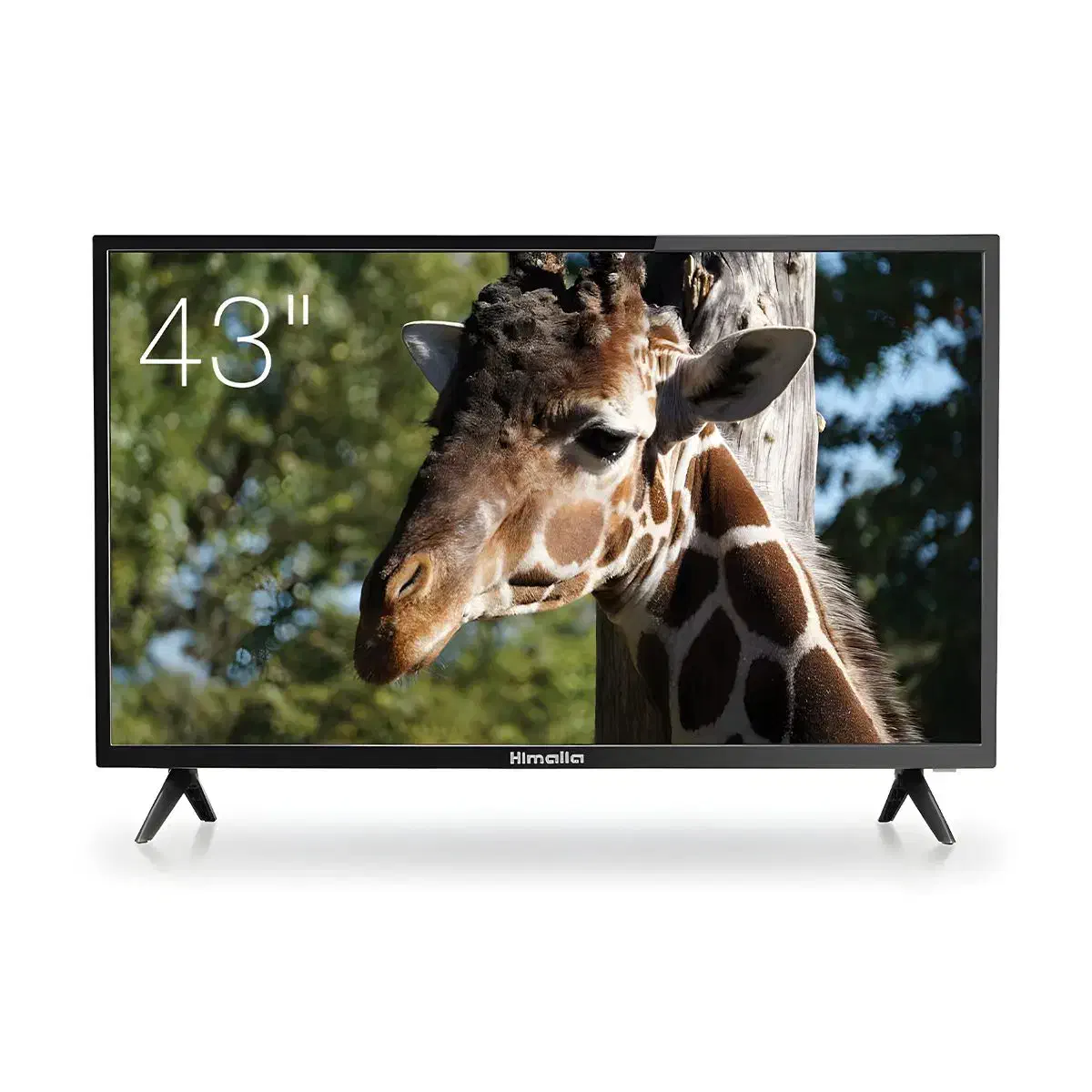 تلویزیون|تلویزیون و پروژکتور|یزد, |دیوار