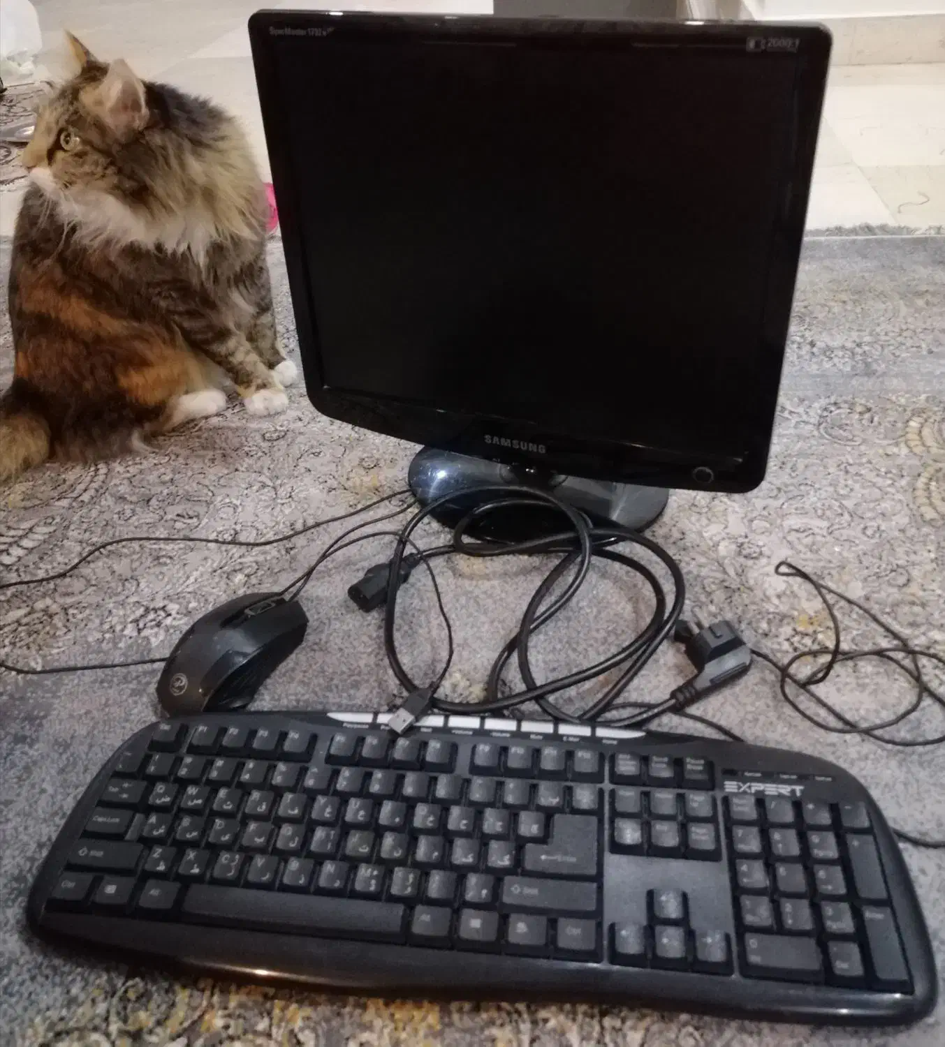 مانیتور کیبورد موس|رایانه رومیزی|تهران, پونک|دیوار