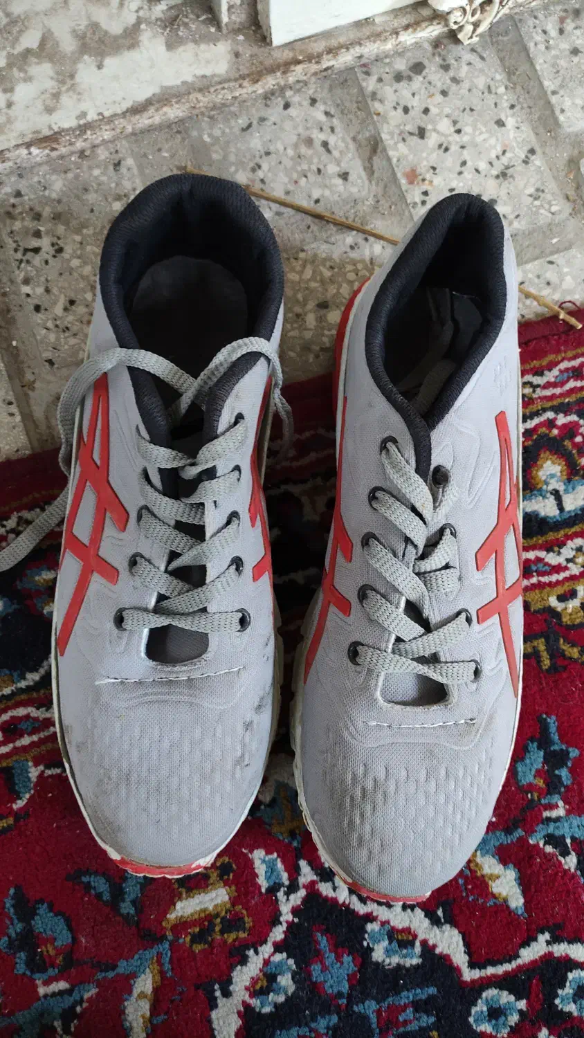 کفش سایز 4۲|کیف، کفش، کمربند|کاشمر, |دیوار