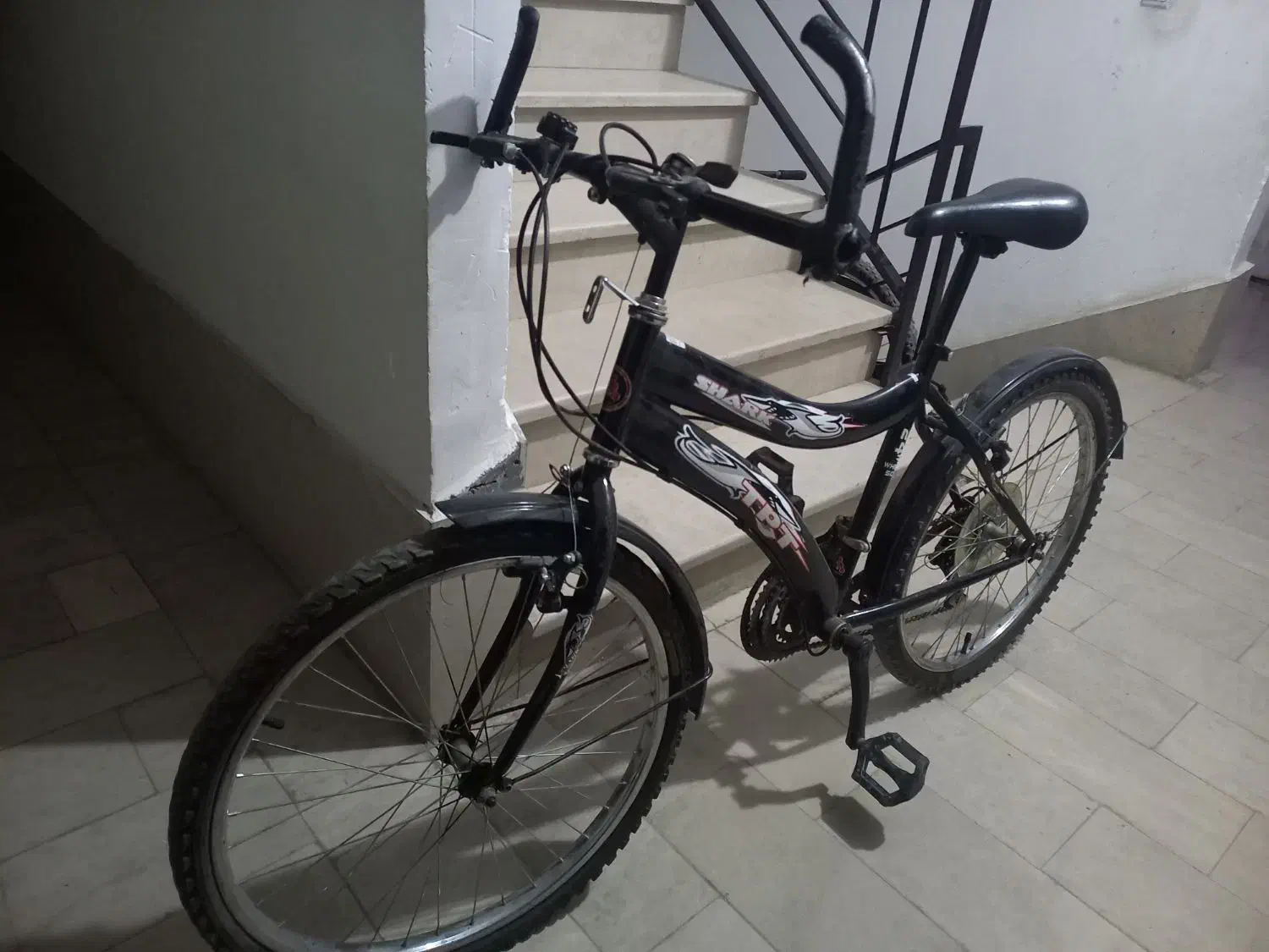 دوچرخه ۲۴ زیر قیمت فروش فوری|دوچرخه، اسکیت، اسکوتر|شاهرود, |دیوار