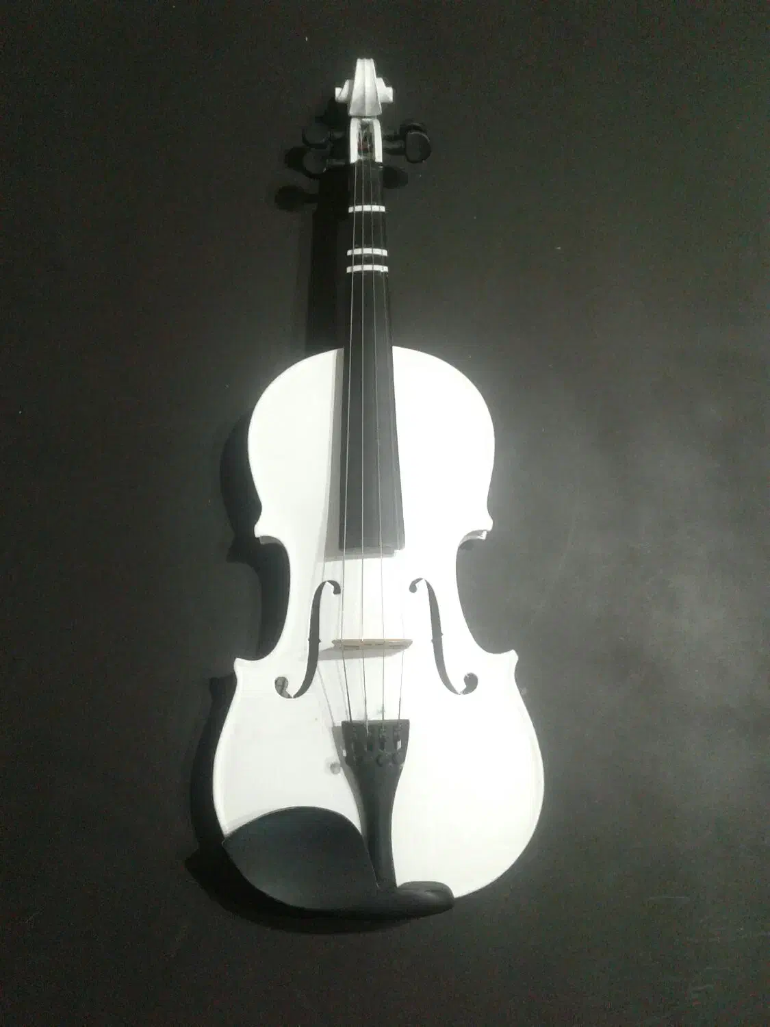 ویولن آموزشی سفید|ویولن|ارومیه, |دیوار