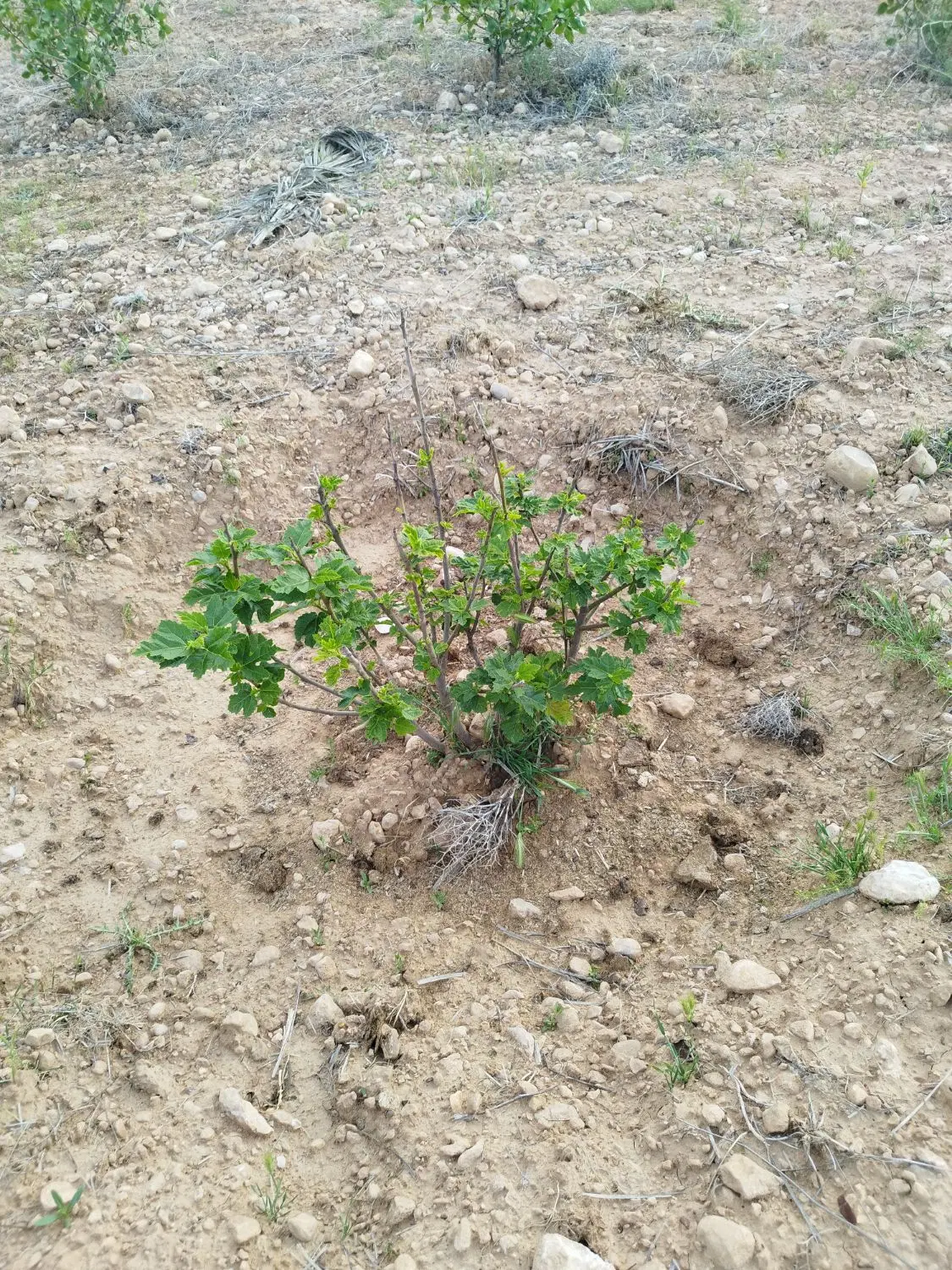 تصویر 3