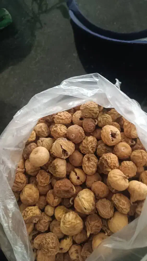 انجیر تازه|خوردنی و آشامیدنی|مرودشت, ژیان|دیوار