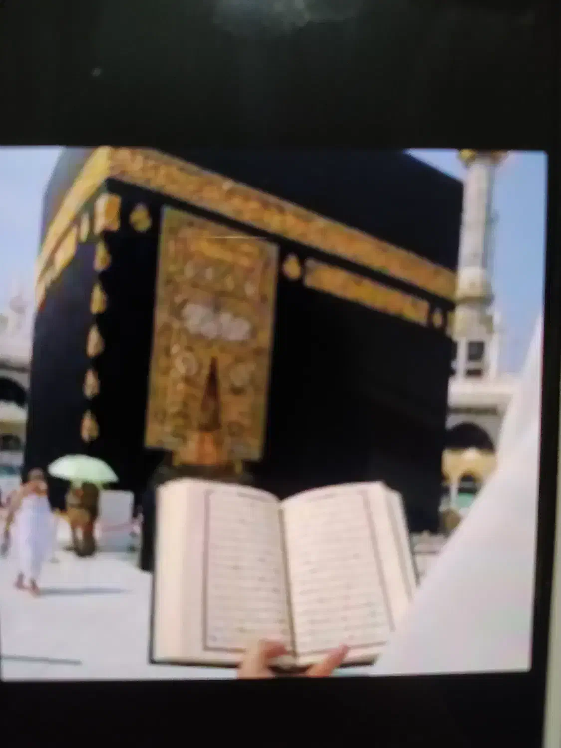 فروش فیش حج تمتع|تور و چارتر|پاوه, |دیوار