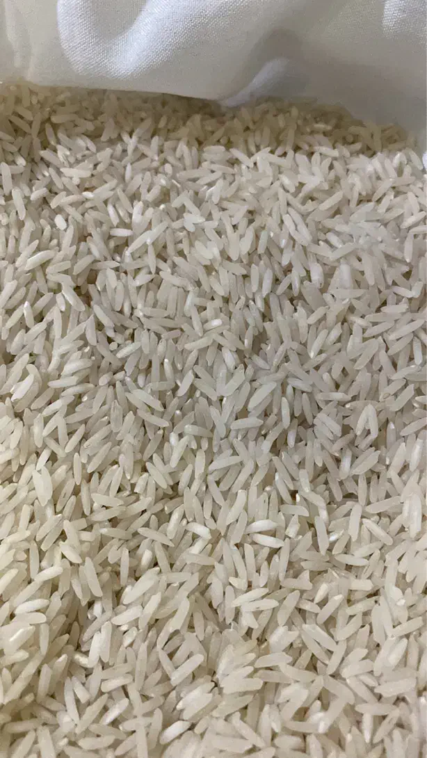 سرلاشه هاشمی و برنج علی کاظمی|خوردنی و آشامیدنی|محمدیه-قزوین, |دیوار