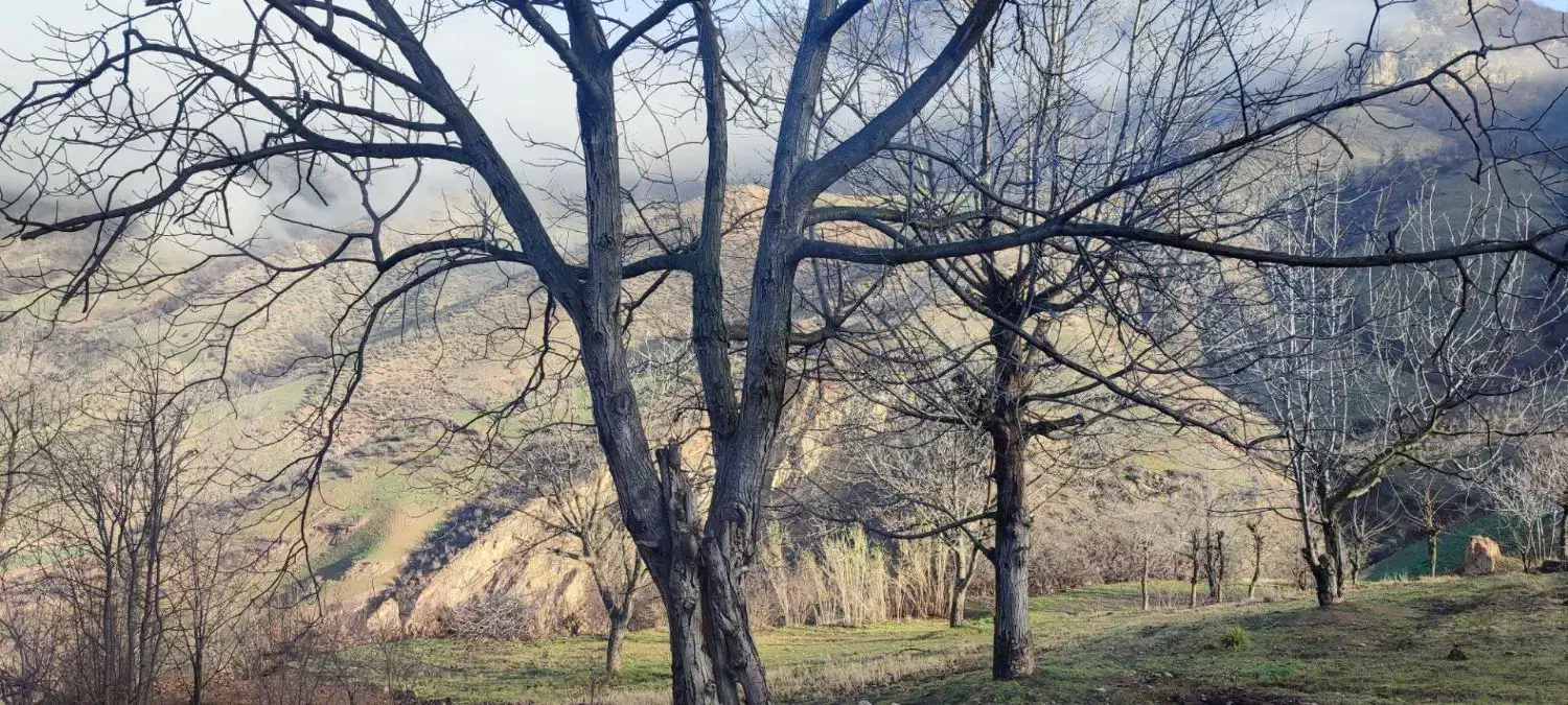 ویلا باغ|اجارهٔ کوتاه‌مدت ویلا و باغ|رامیان, |دیوار