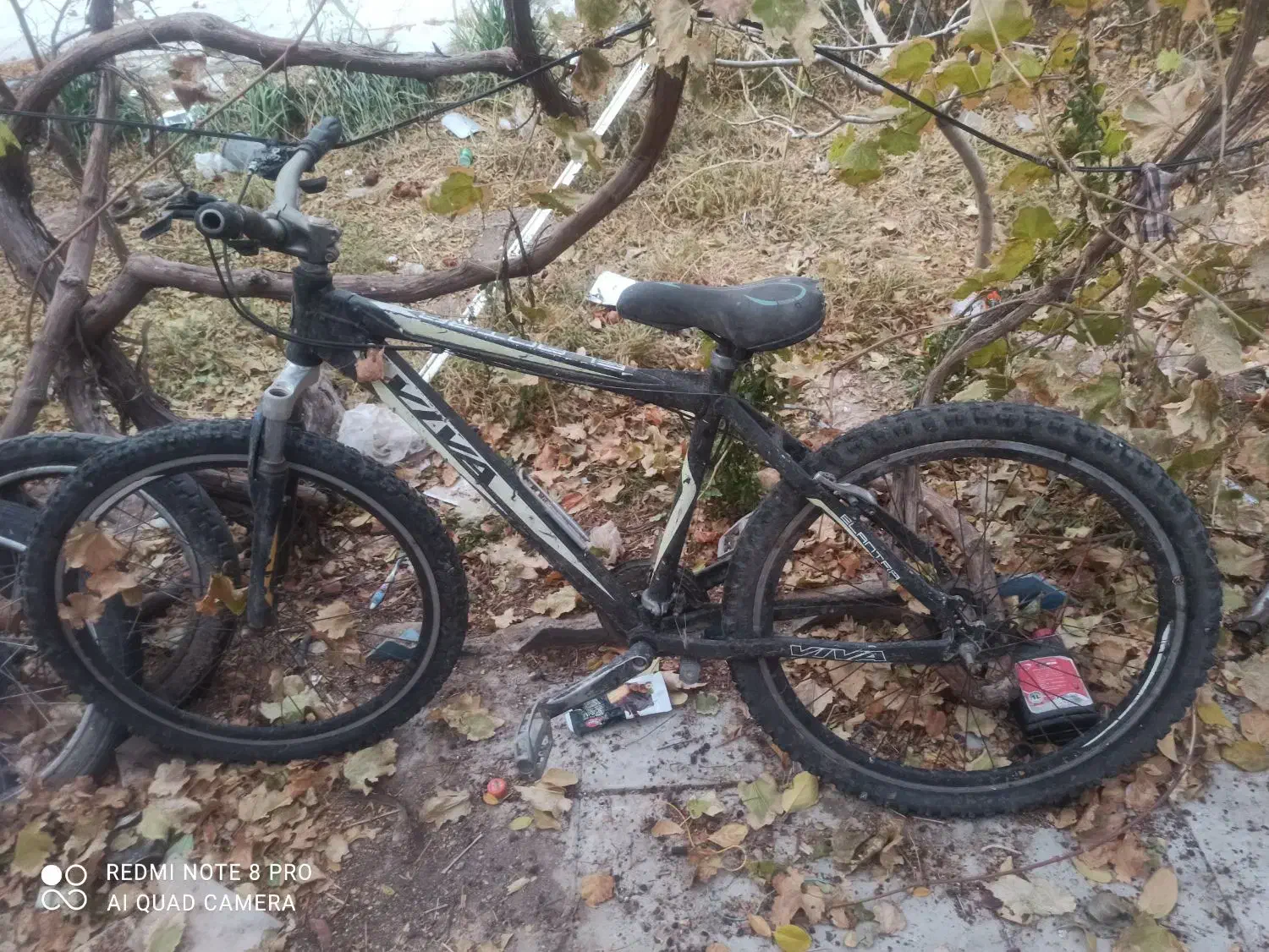 دوچرخه ویوا زیرخاکی|دوچرخه، اسکیت، اسکوتر|رفسنجان, |دیوار