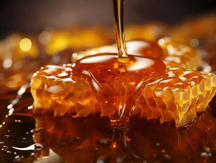 عسل طالقان نمونه|خوردنی و آشامیدنی|طالقان, |دیوار