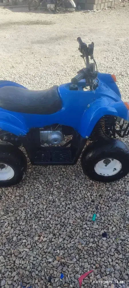 موتور چهاچرخ|موتورسیکلت|گله دار, |دیوار