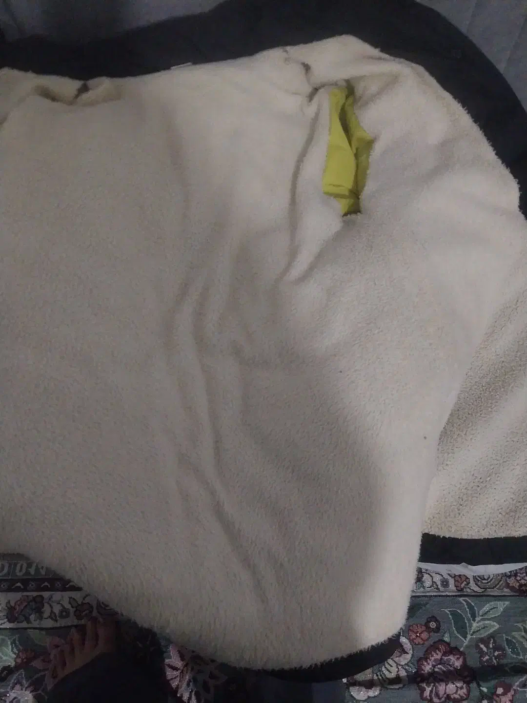 کاپشن دخترانه داخل خز در حد نو|لباس|لاهیجان, کوی زمانی|دیوار