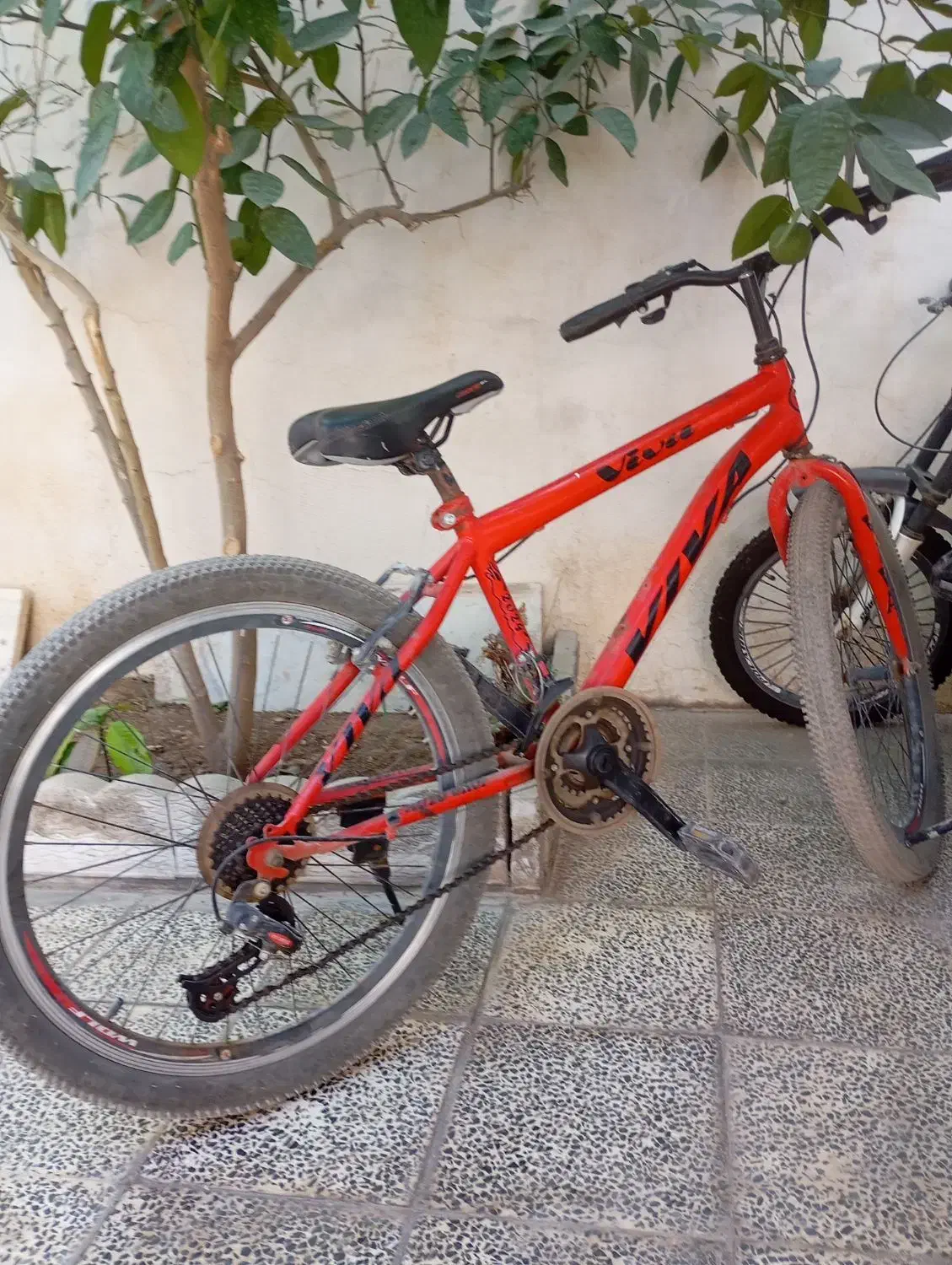 فروش ۴عدوچرخه سایز ۱۴و۱۶ و۲۰ساده و۲۴دنده ای|دوچرخه، اسکیت، اسکوتر|کاشان, مشکات|دیوار