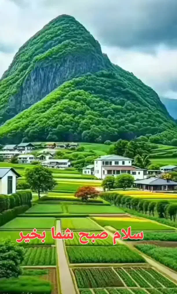 اجاره ملک...لطفا املاک تماس نگیرد|اجارهٔ آپارتمان|امیدیه, |دیوار