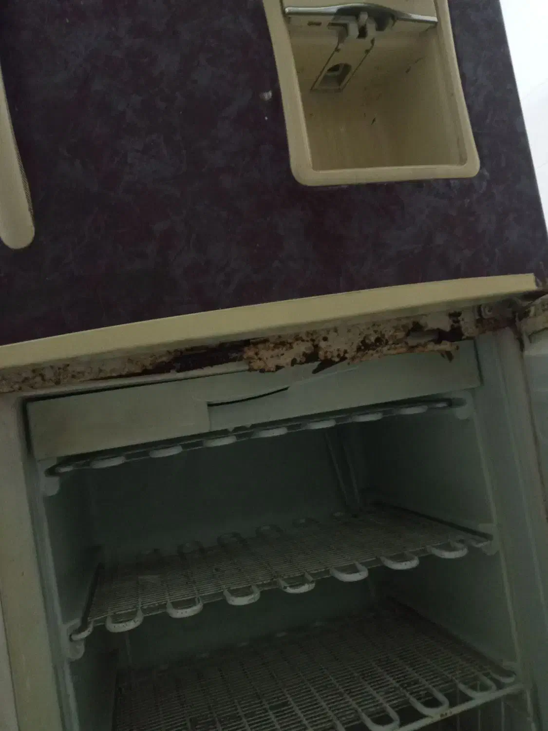 یخچال فریزر|یخچال و فریزر|گراش, |دیوار