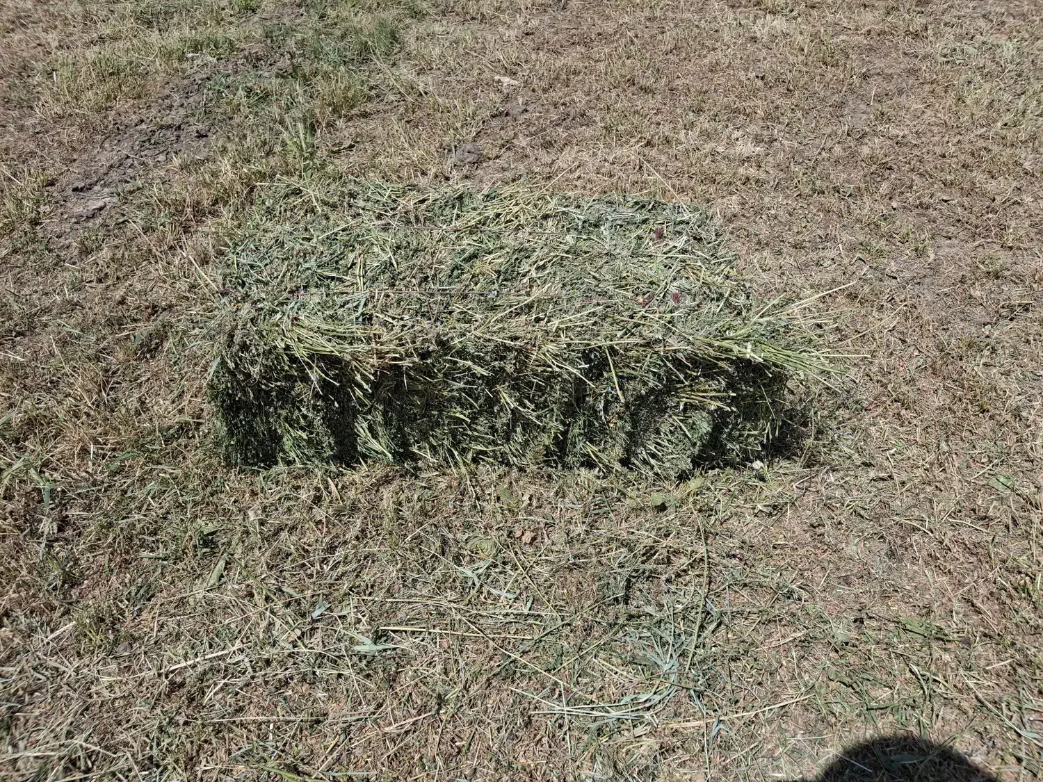 یونجه درجه یک|حیوانات مزرعه|سراب, |دیوار