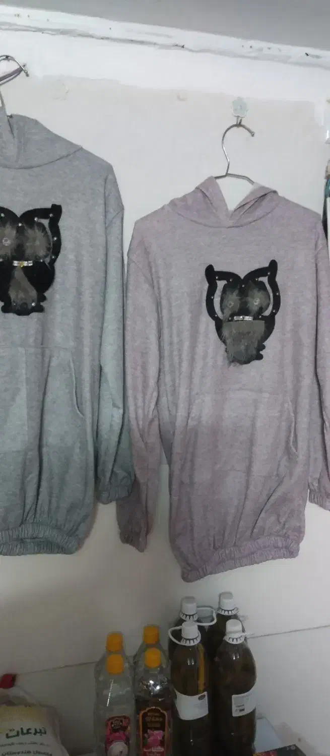 هودی دخترانه|لباس|قم, ولیعصر|دیوار