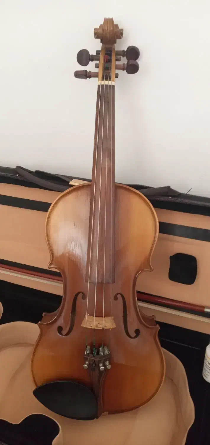 ویولن حرفه ای تمیز و خوش صدا|ویولن|جم, |دیوار