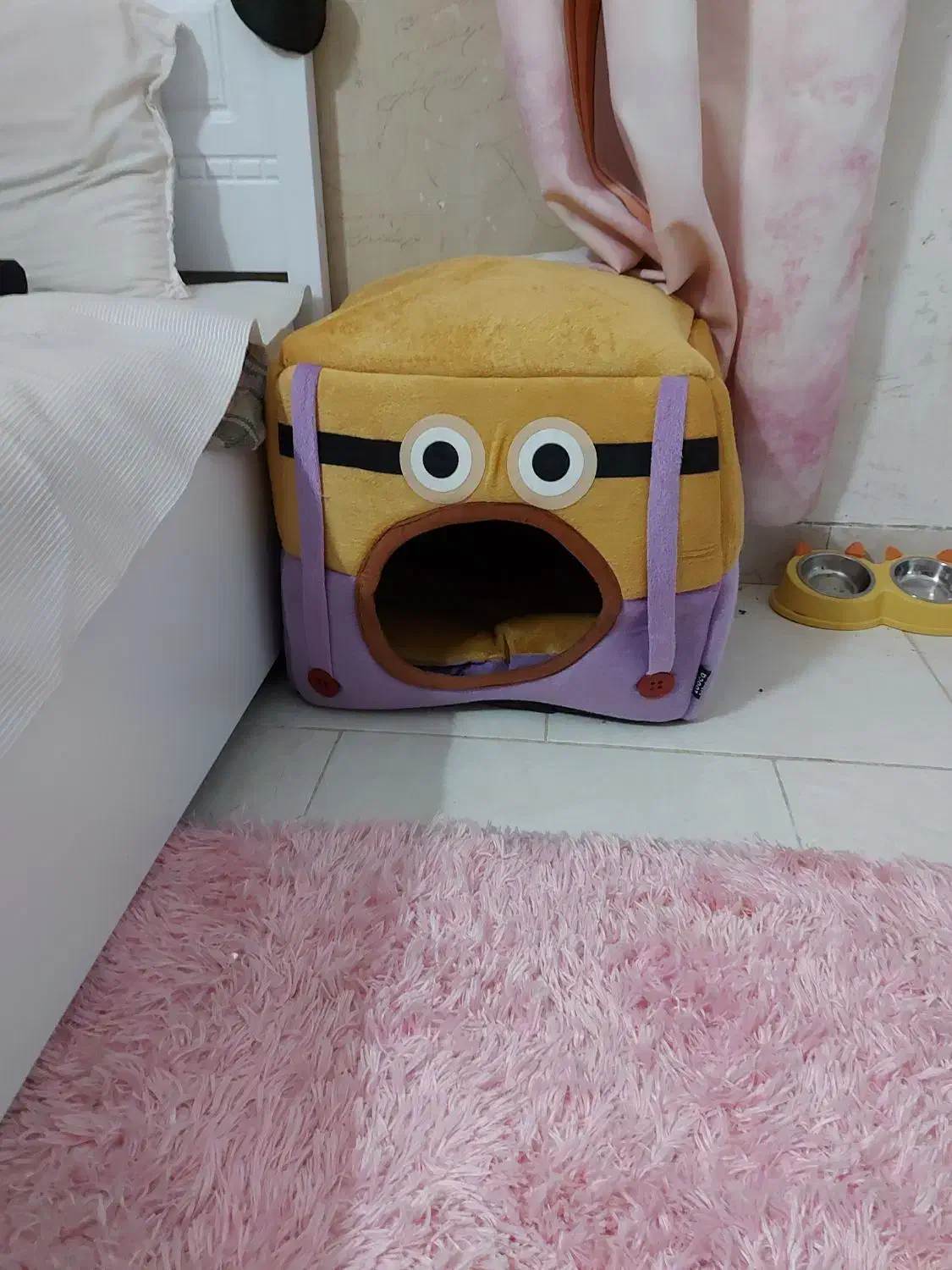 لوازم پت|لوازم جانبی حیوانات|دلیجان, |دیوار