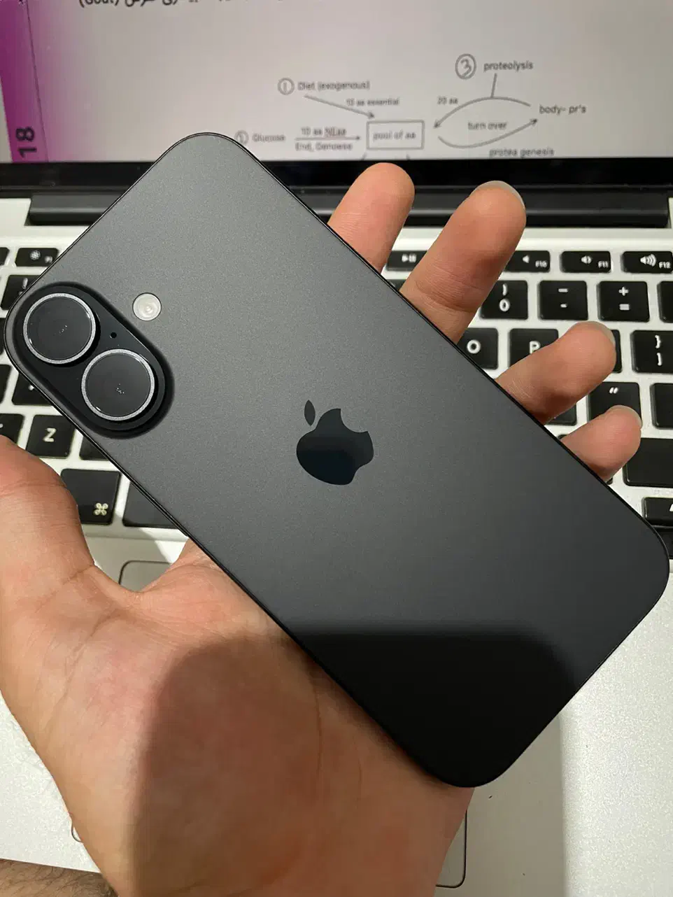 Iphone 16 normal 128|موبایل|شهریار, شهریار|دیوار