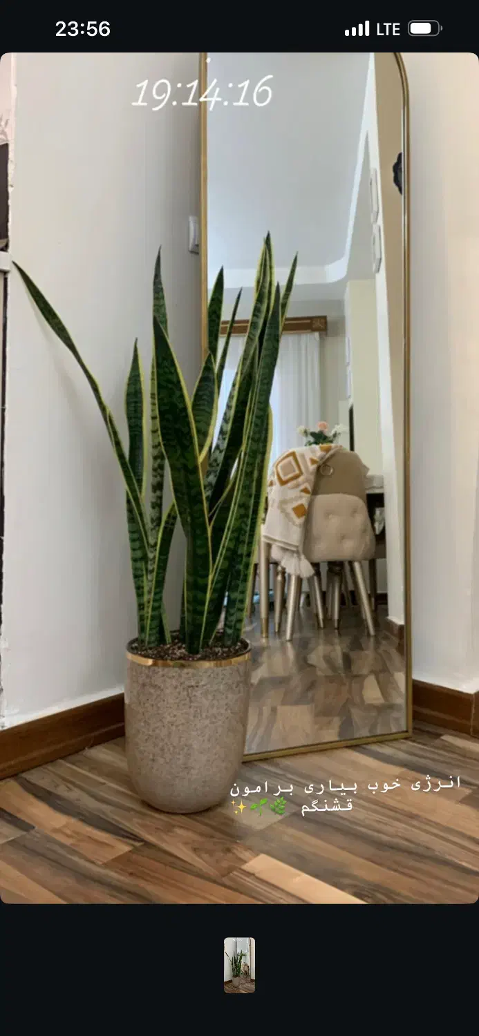 آینه قدی|آینه|تبریز, |دیوار