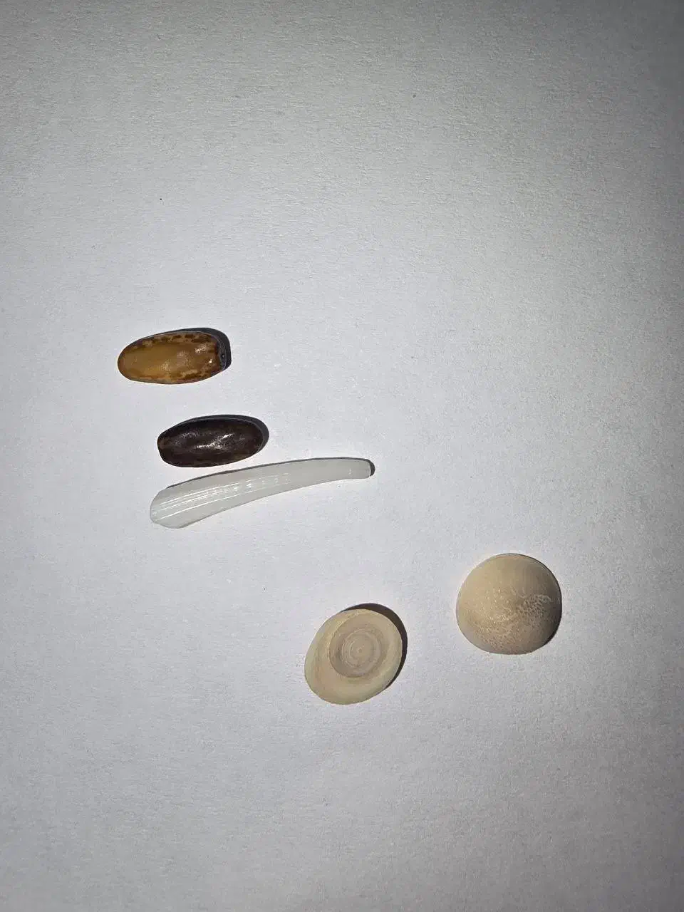 مهره شانس|جواهرات|سنندج, |دیوار