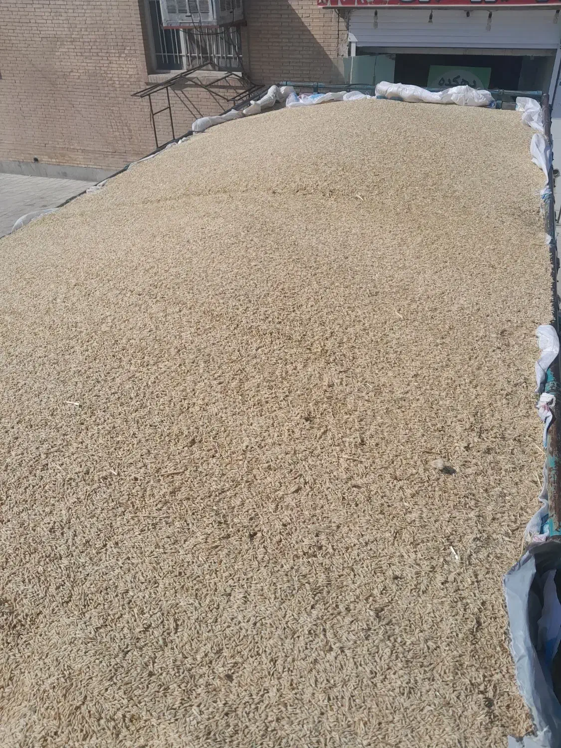 جو محلی وجو خارجی کیسه شده|لوازم جانبی حیوانات|آباده, |دیوار