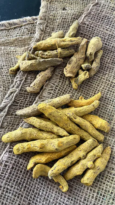 استخدام نیروی کار|استخدام صنعتی، فنی، مهندسی|شیراز, کفترک|دیوار