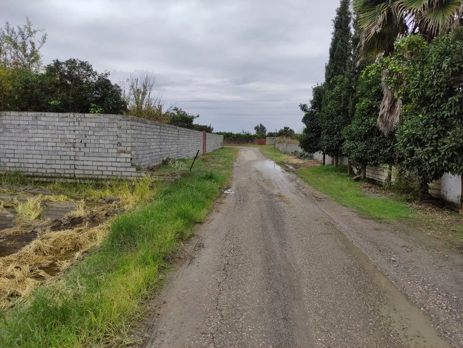 فروش زمین کشاورزی داخل بافت (خانه سرا)|فروش زمین و ملک کلنگی|هادی شهر, |دیوار