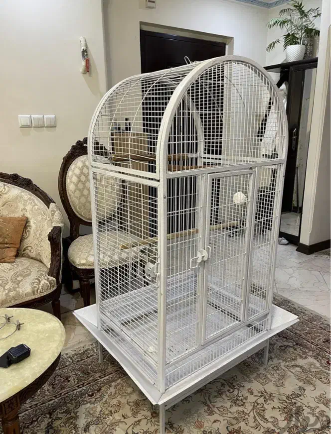 قفس بزرگ طوطی سانان|لوازم جانبی حیوانات|گرمسار, |دیوار
