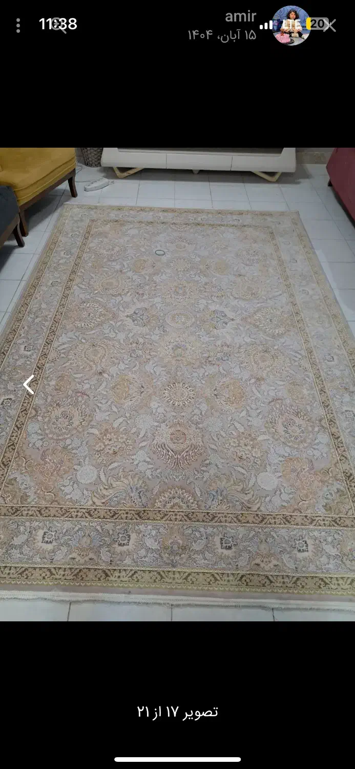 دوتخته فرش شاه عباسی|فرش|کرمانشاه, |دیوار