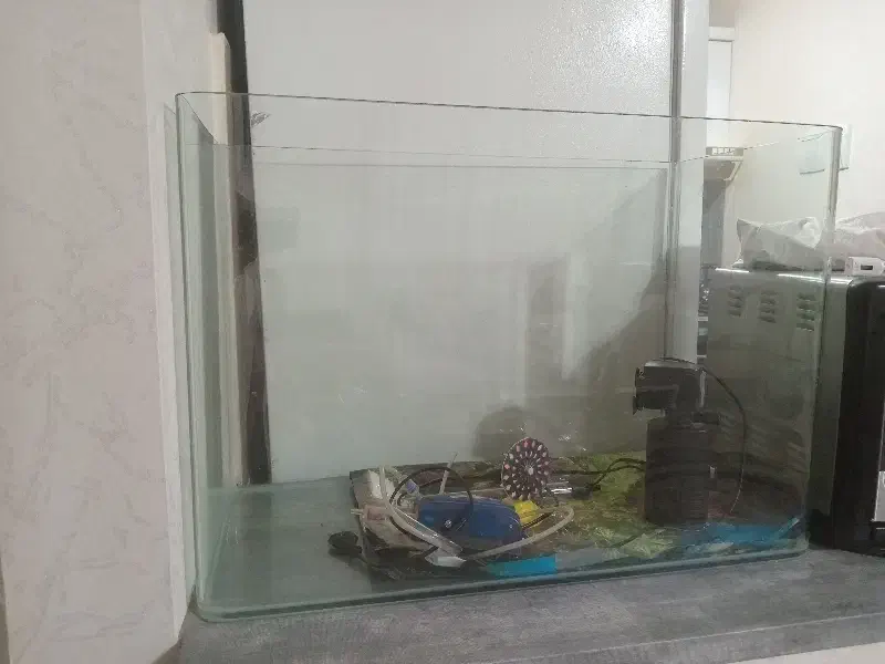 اکواریوم  بزرگ|ماهی|مشهد, امیریه|دیوار