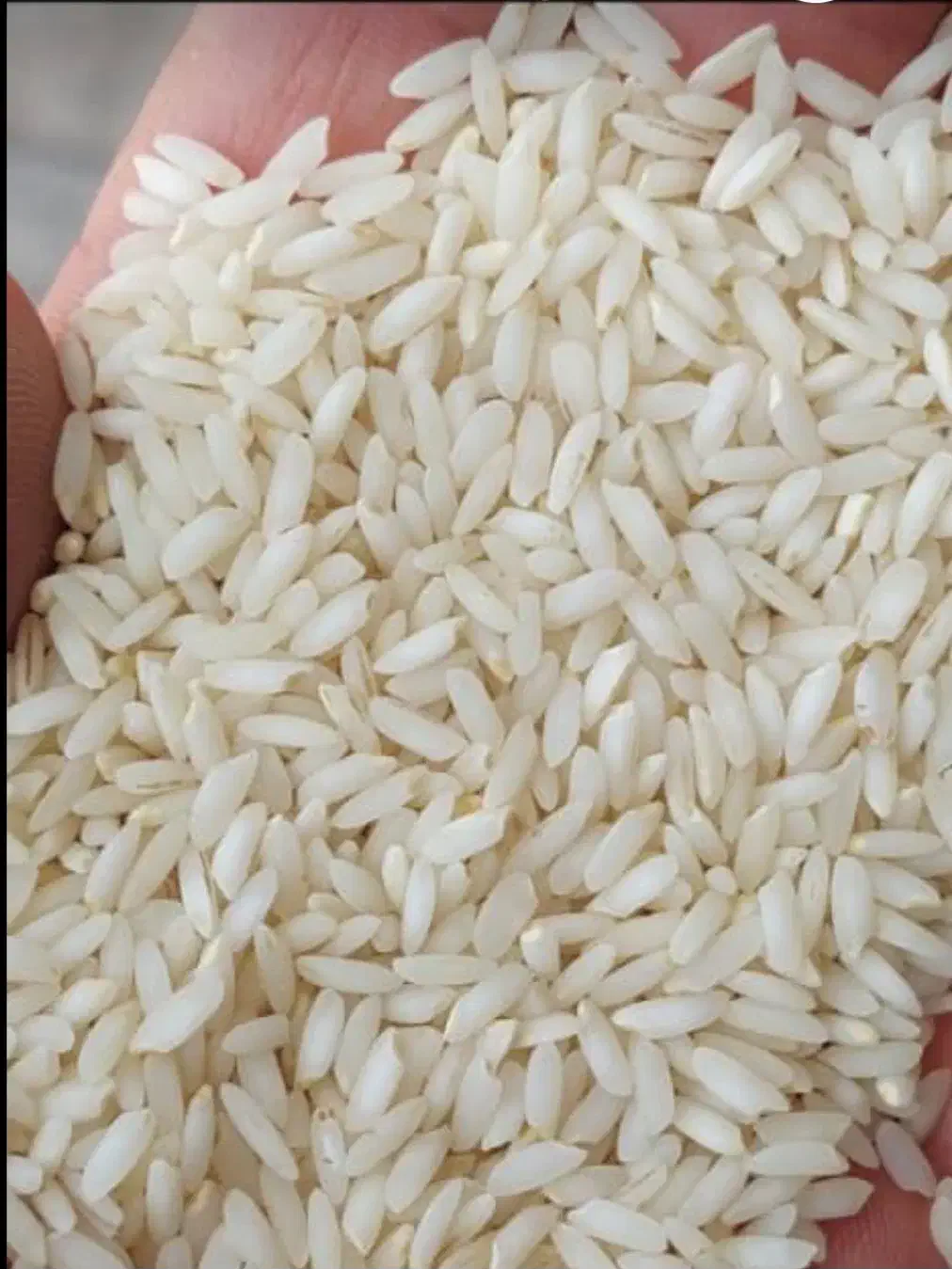 برنج عنبربو درجه یک|خوردنی و آشامیدنی|تهران, تجریش|دیوار