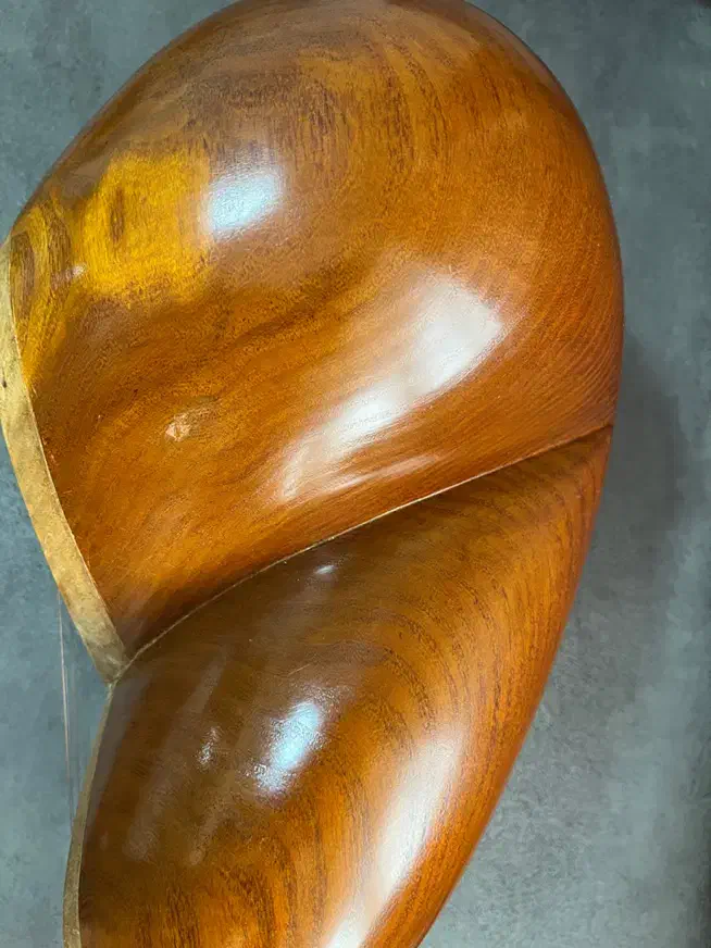 تار|سازهای سنتی|اصفهان, تیران|دیوار