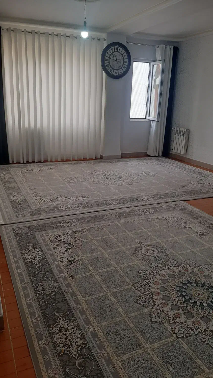 فروش فرش ۱۲۰۰ شانه با قیمت مناسب|فرش|تالش, هشتپر|دیوار