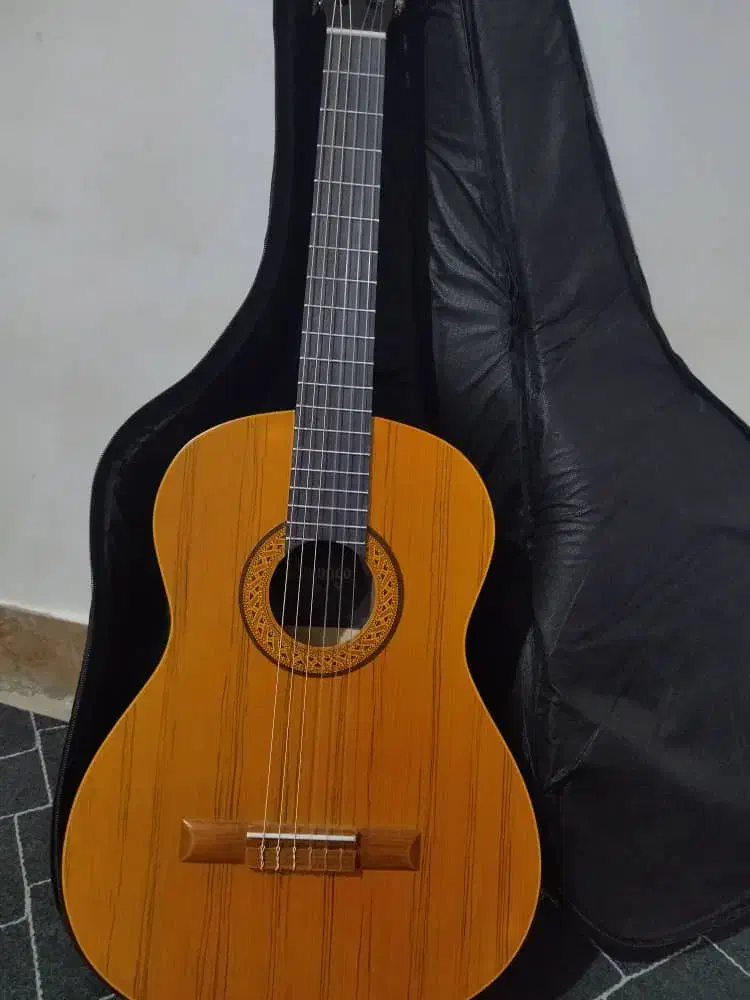 فروش فوری گیتار|گیتار، بیس، امپلیفایر|بوکان, |دیوار