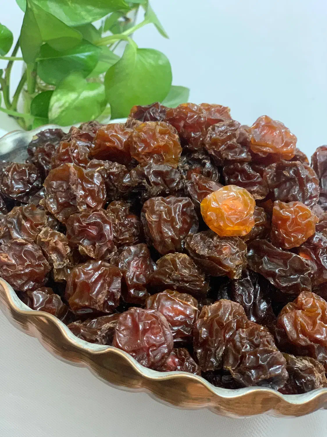 ادویه و خشکبار کاشانه|خوردنی و آشامیدنی|کاشان, پاقپان|دیوار