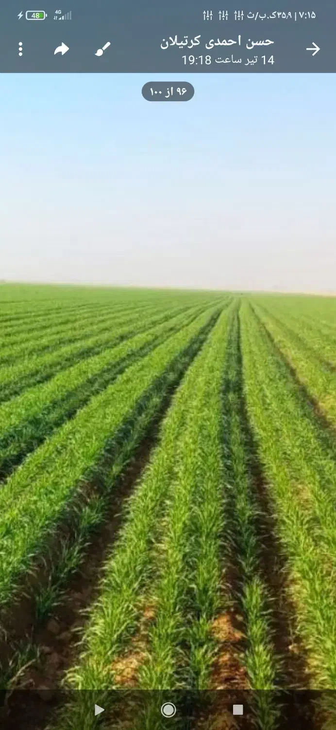 کود دی امونیوم فسفات ،سولفات پتاسیم،سوپر فسفات|خدمات باغبانی و درختکاری|زنجان, |دیوار