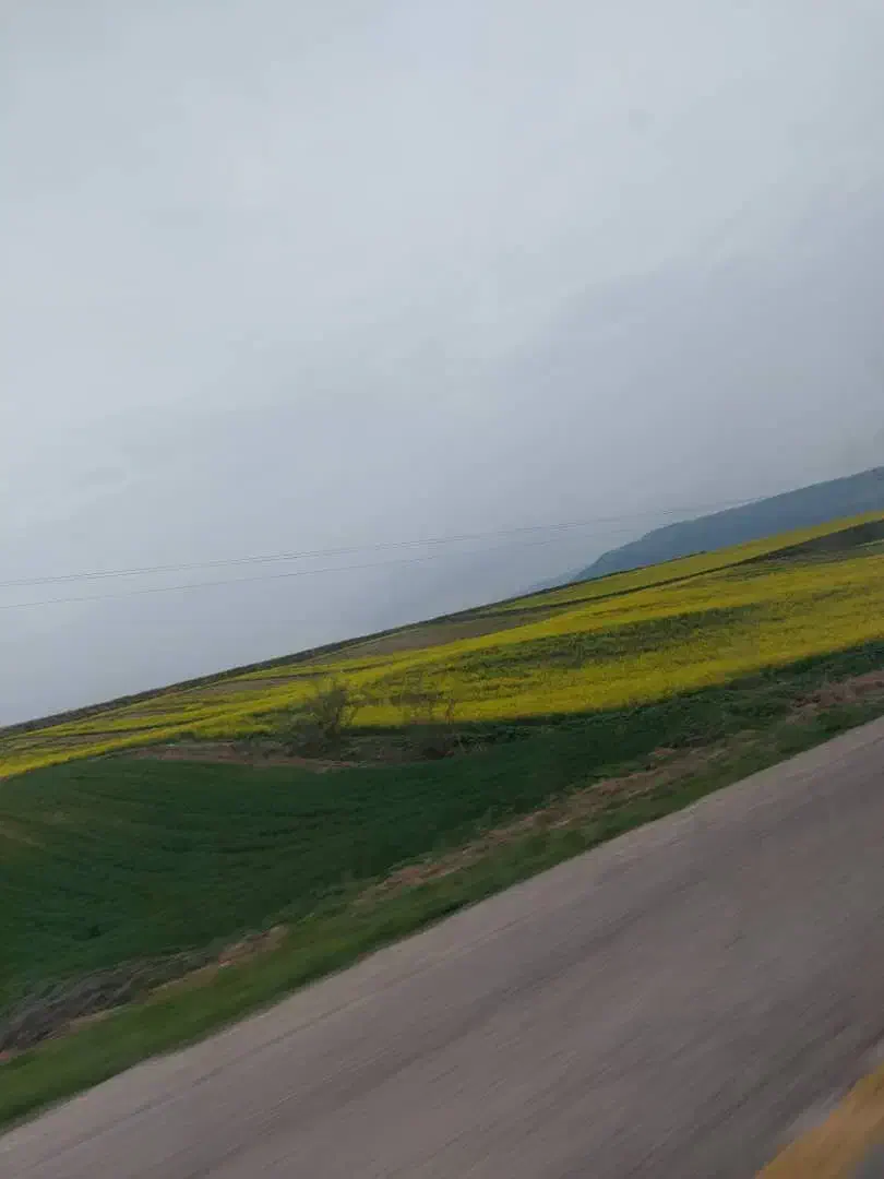 اجاره۸هکتارزمین آقدگش|اجارهٔ کوتاه‌مدت ویلا و باغ|آق قلا, |دیوار